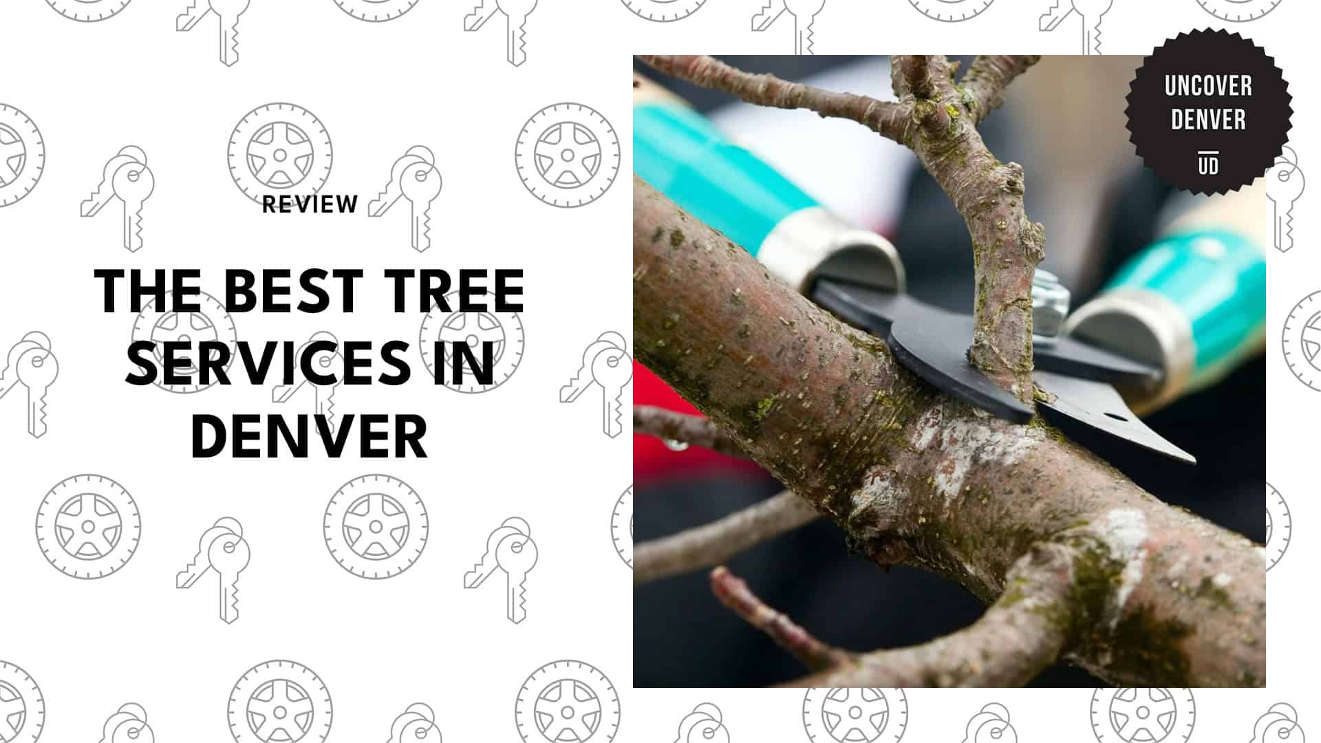 best-tree-services-denver-banner