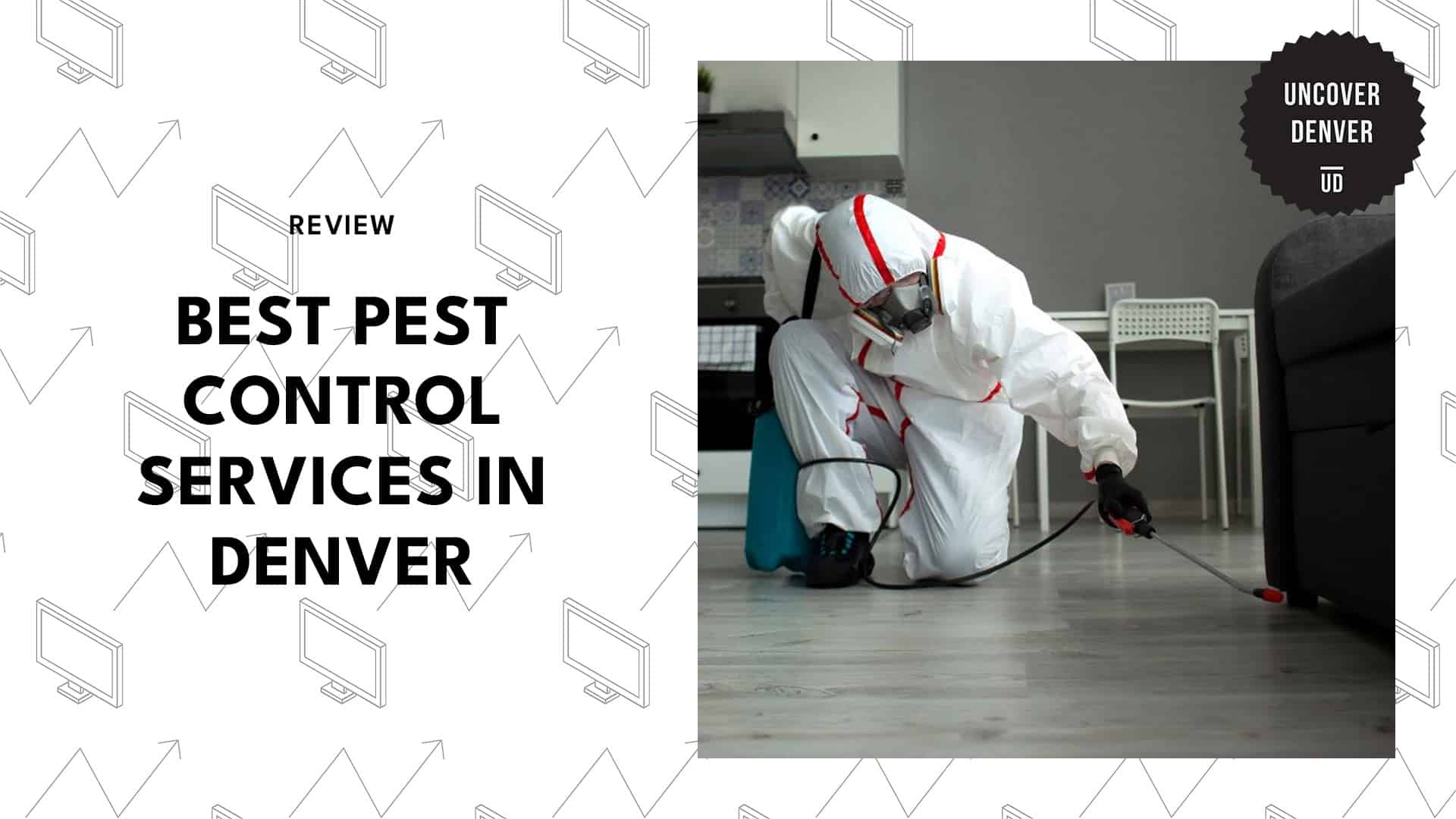 pest-control-pros-in-denver
