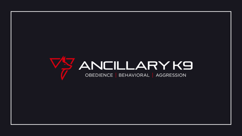 ancillary-k9