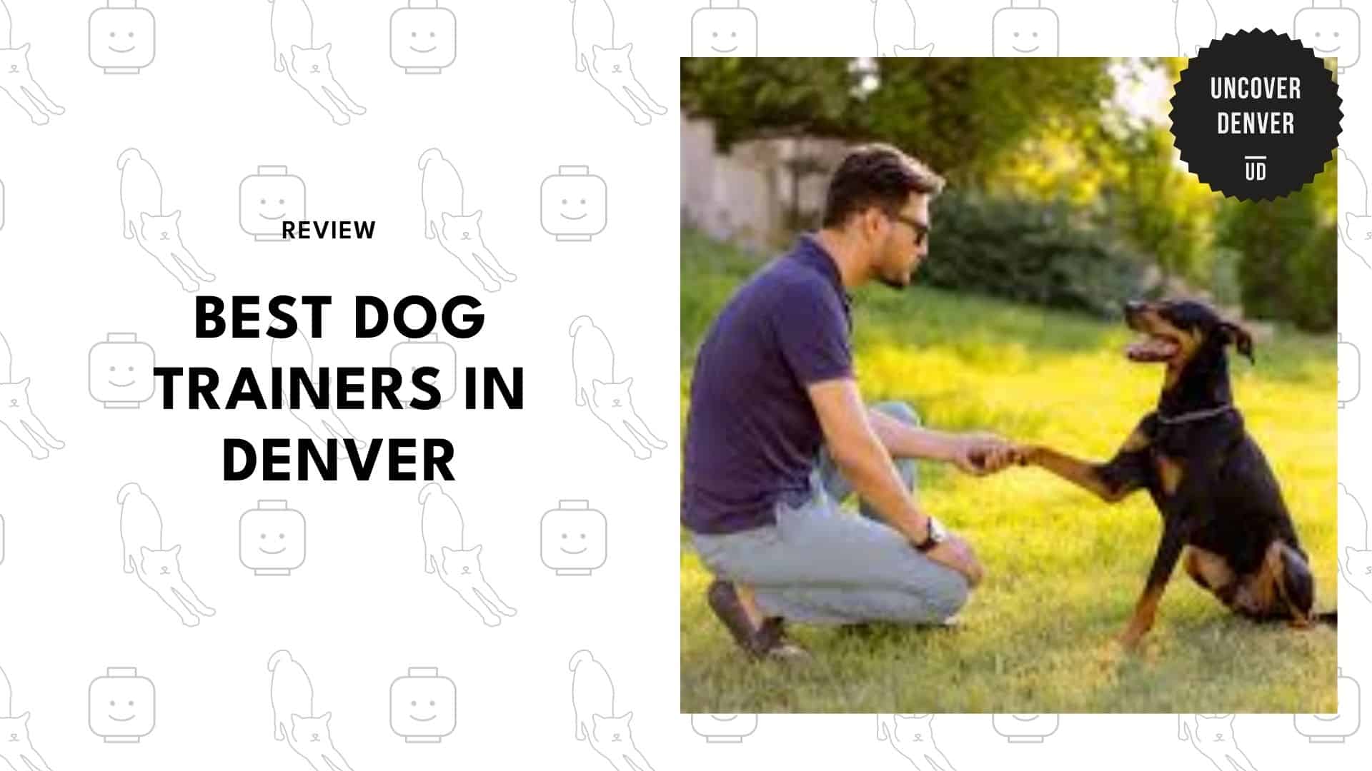 dog-trainers-in-denver-for-our-unruly-pups
