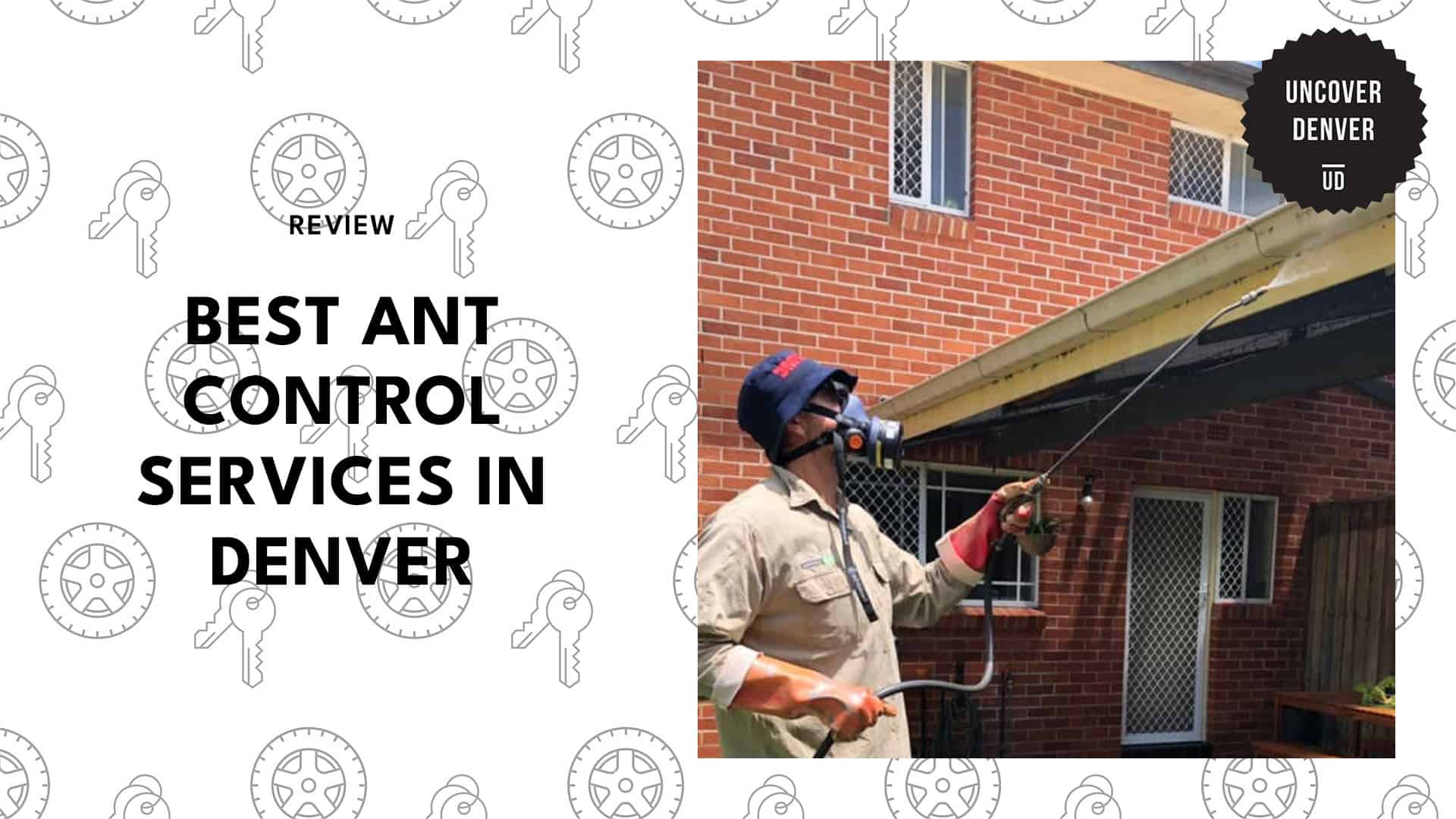 ant-control-in-denver