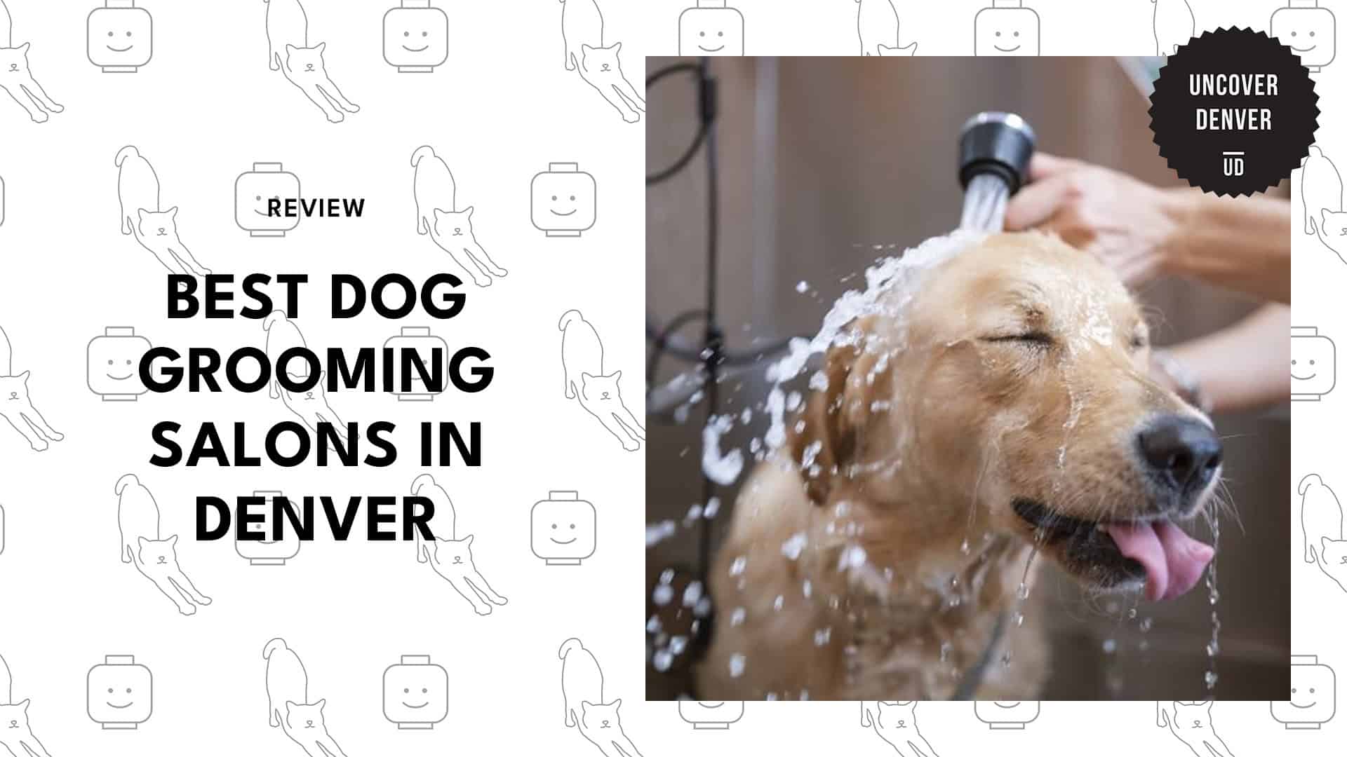 dog-grooming-in-denver