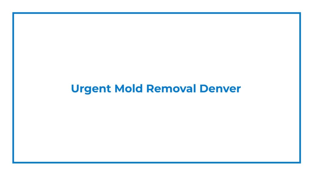 urgent-mold-removal-denver