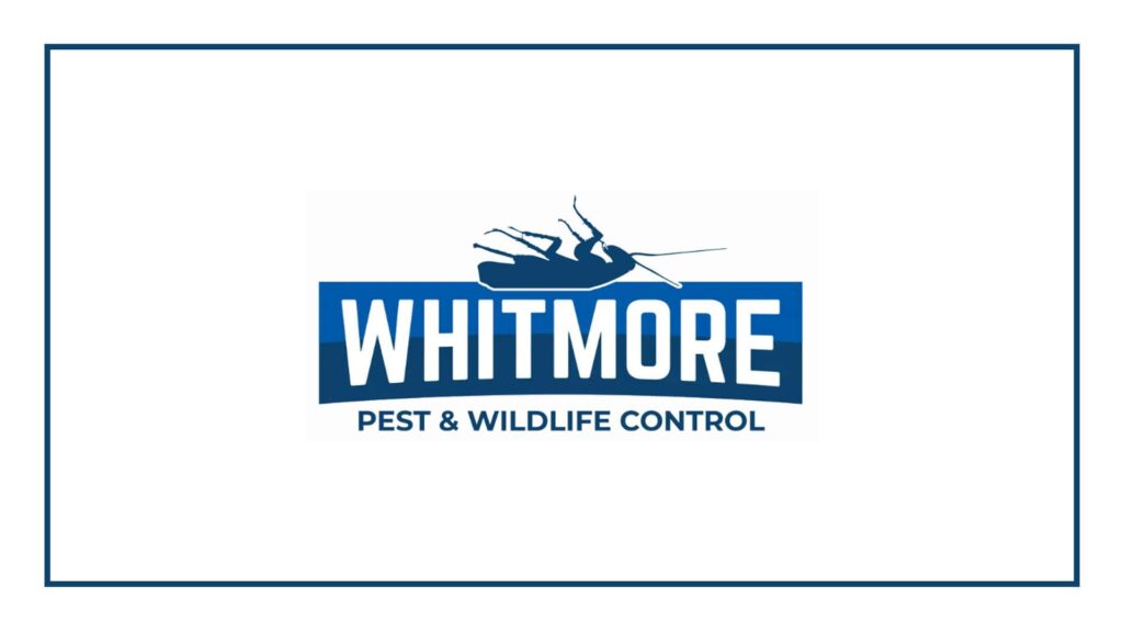 whitmore-pest-wildlife-control-of-denver