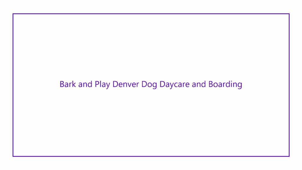 bark-and-play-denver-dog-daycare-and-boarding