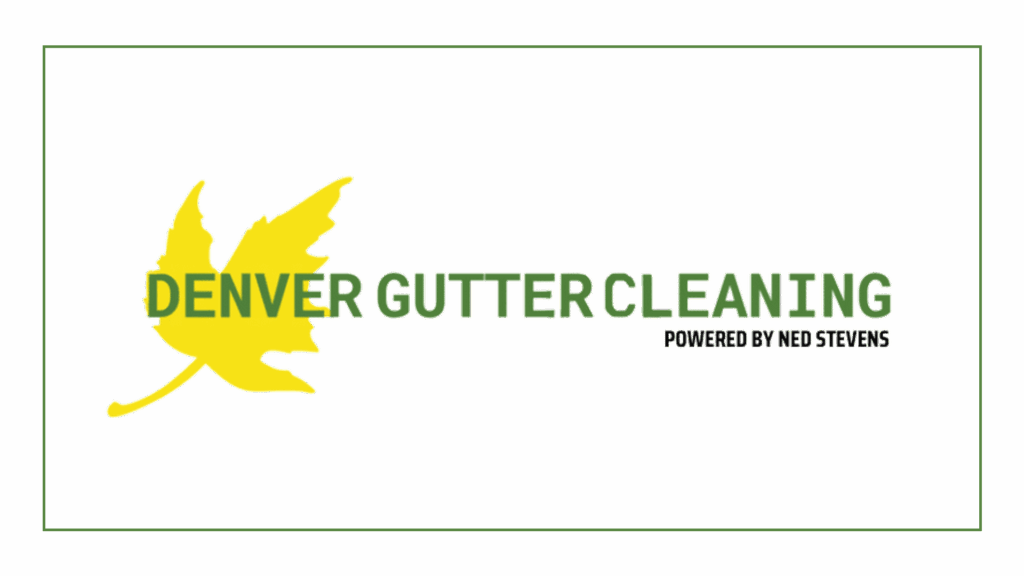 denver-gutter-cleaning