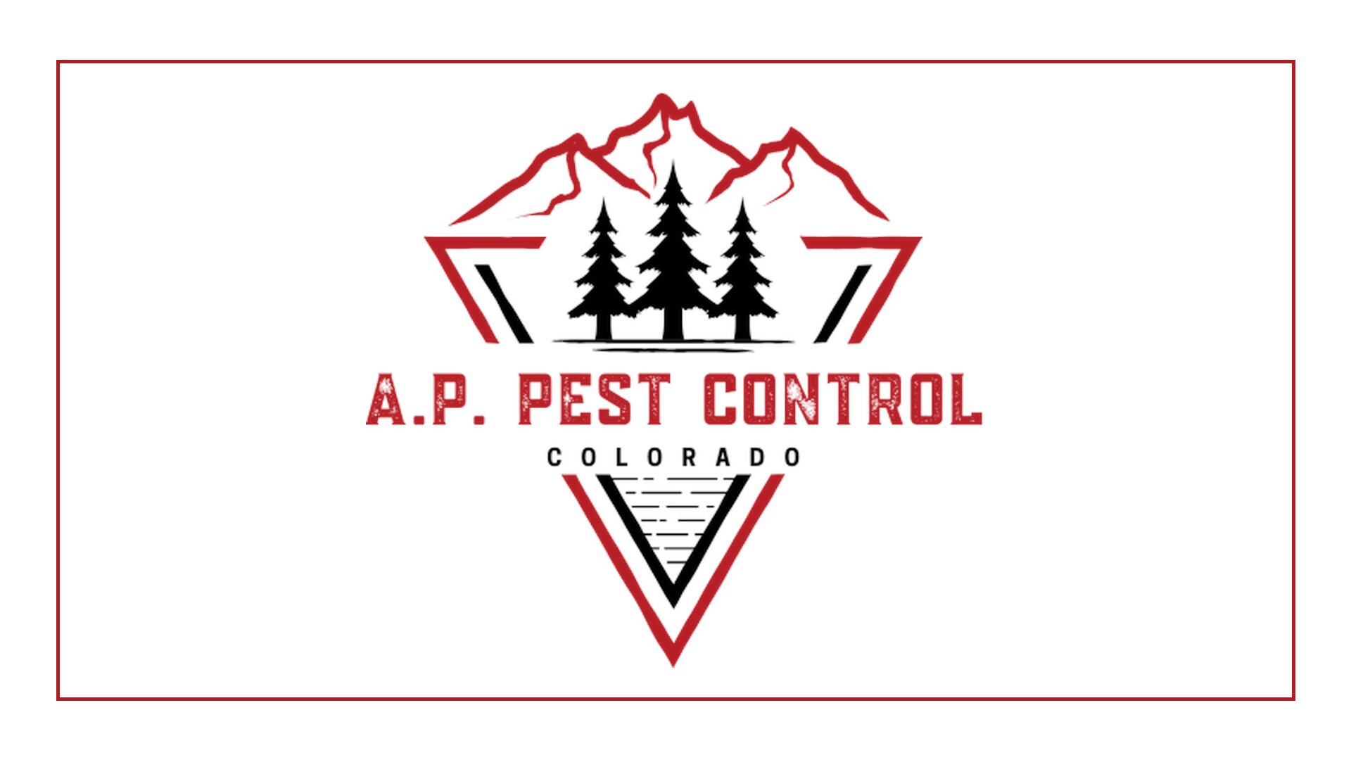 5 Cockroach Control Services in Denver That Actually Work [2026]