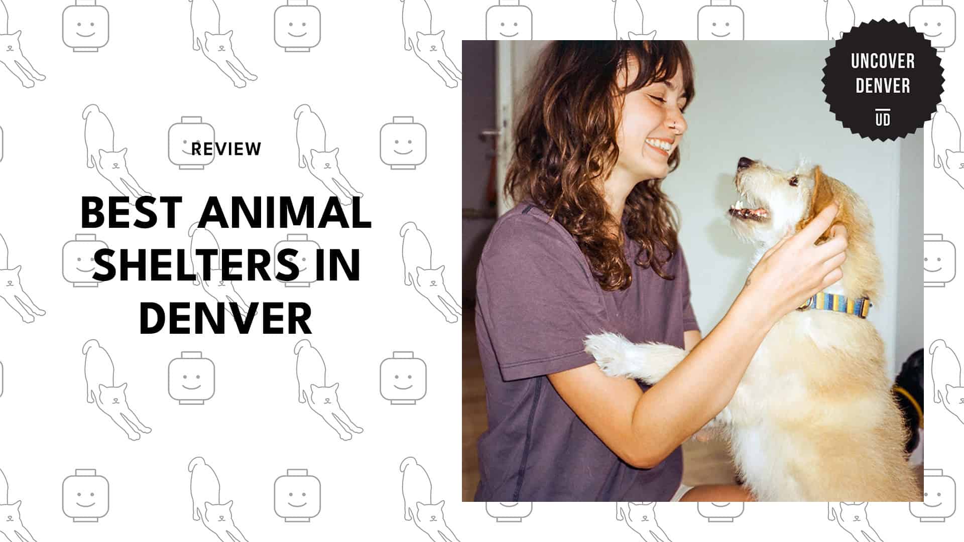 best-animal-shelter-denver