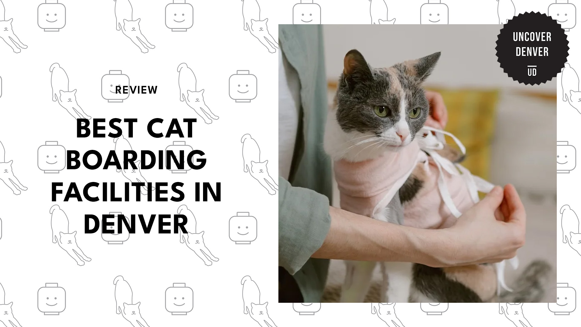 best-cat-boarding-denver-banner