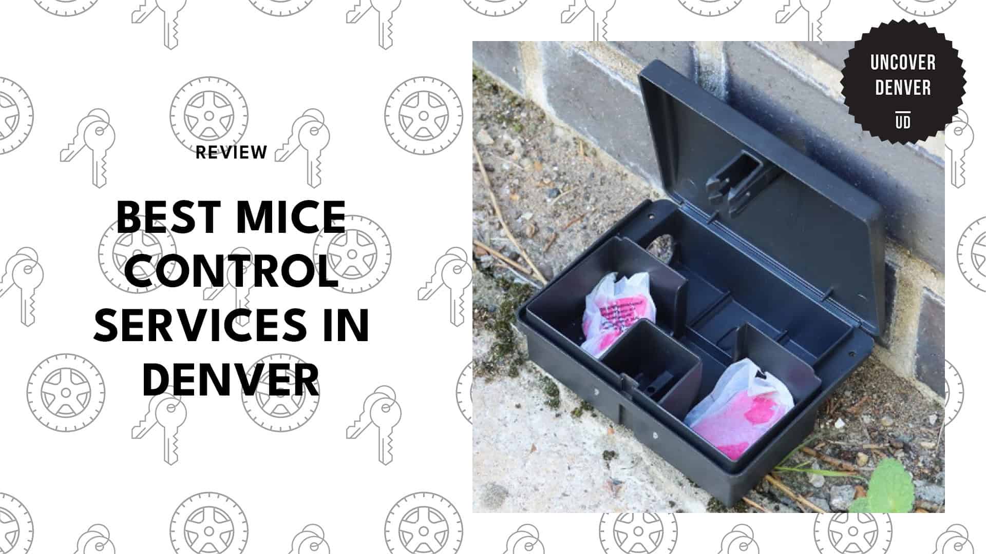 best-mice-control-denver-banner
