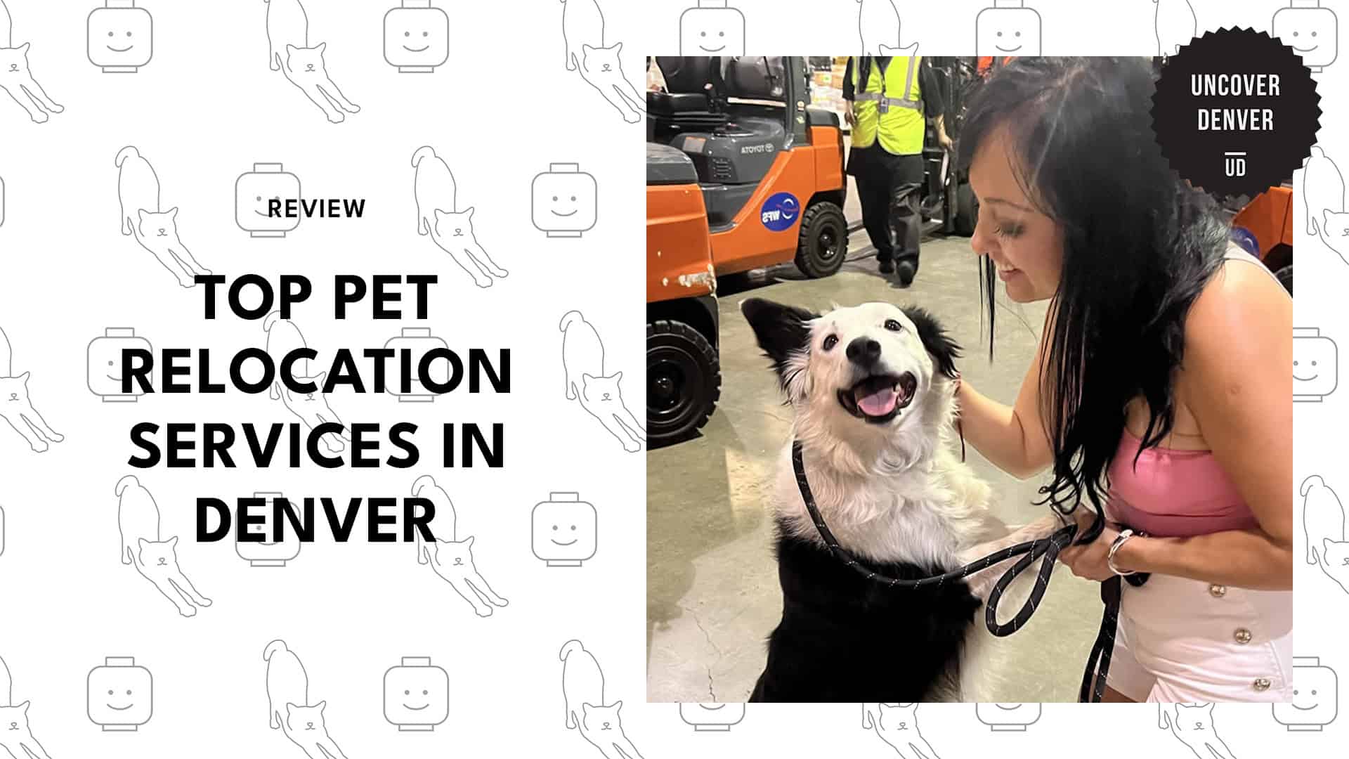 best-pet-relocation-denver