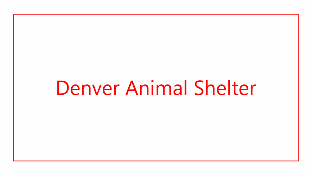 denver-animal-shelter