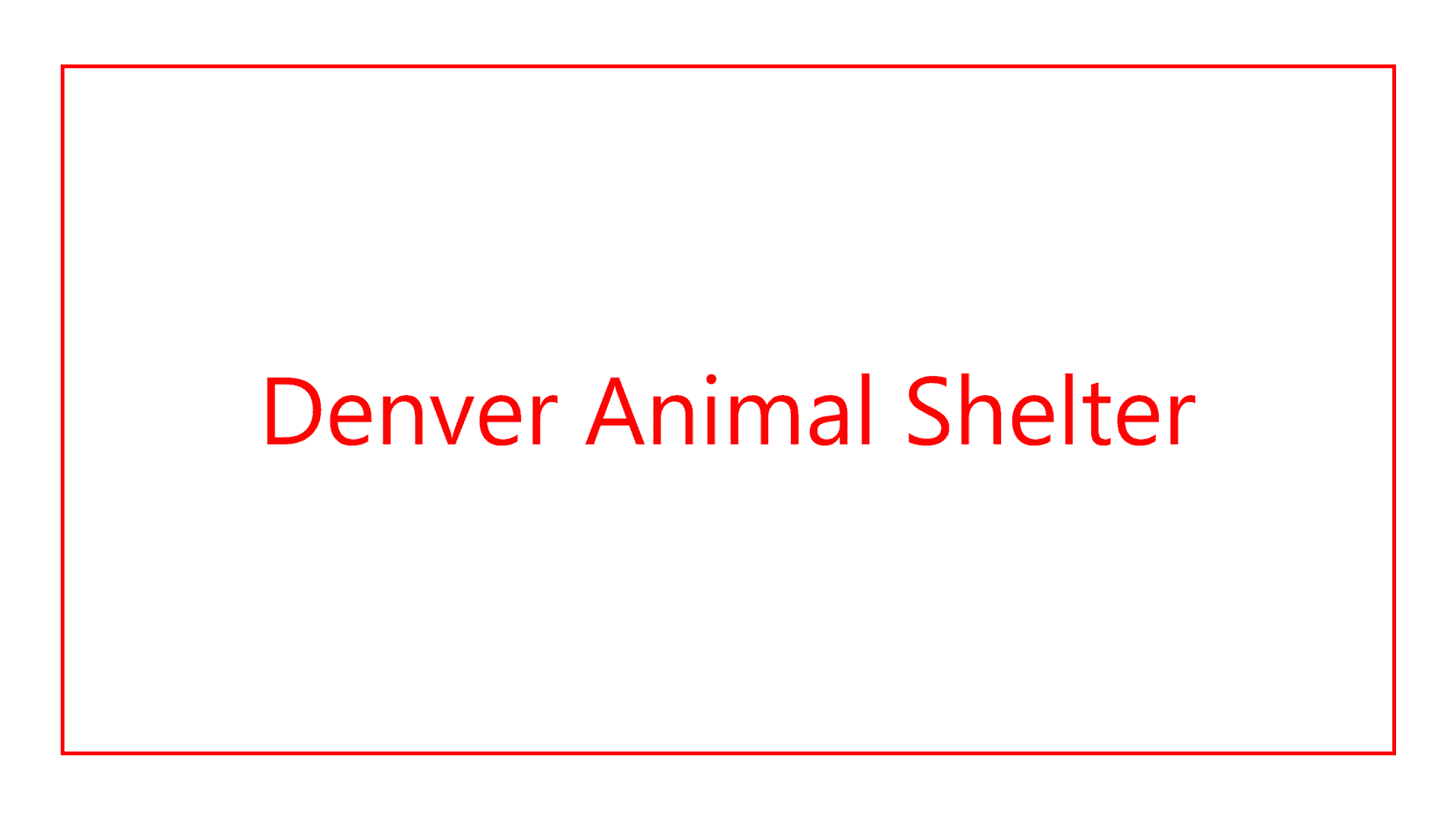 The Best Animal Shelters in Denver That Truly Care [2026 ]