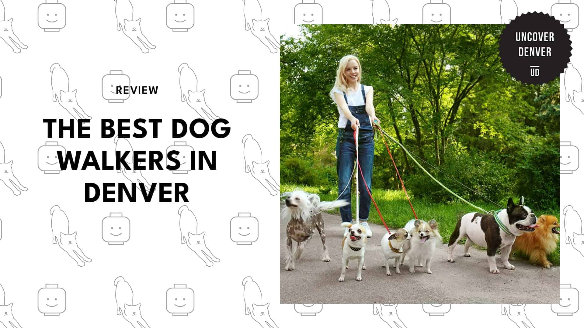 dog-walkers-in-denver