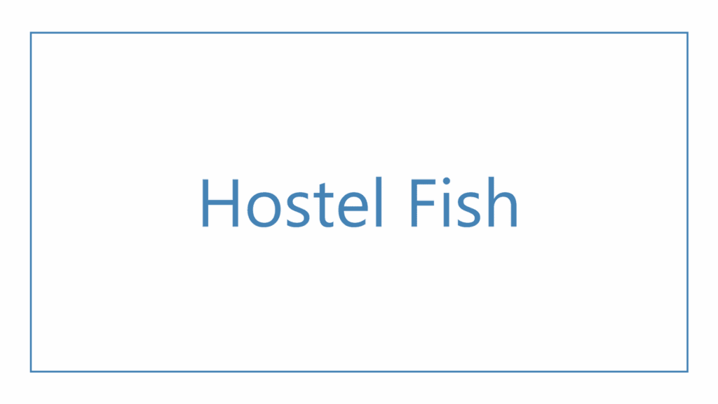 hostel-fish