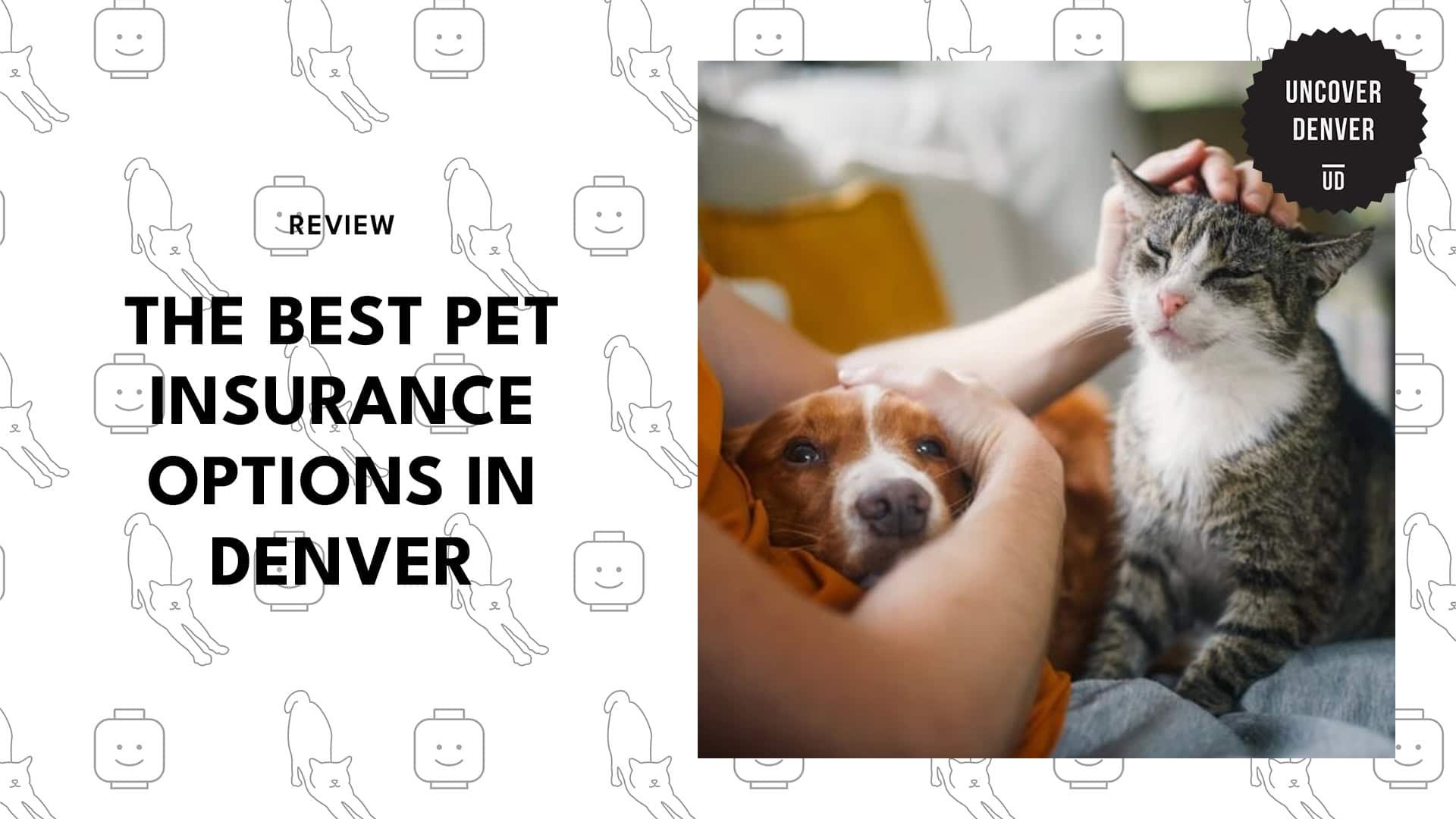 best-pet-insurance-denver