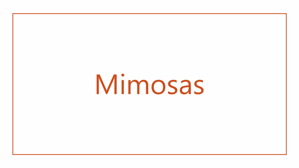 mimosas-logo