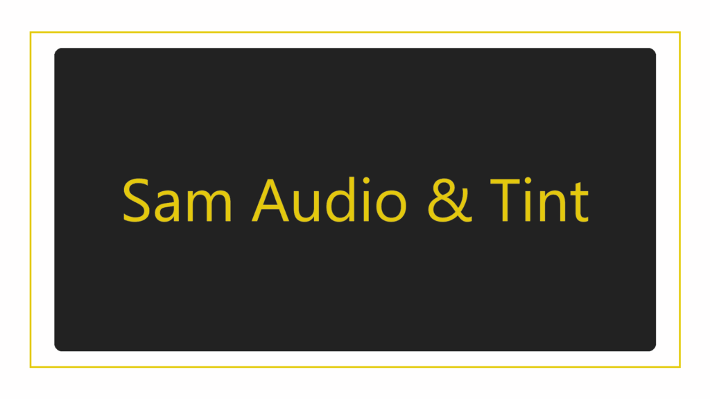 sam-audio-tint-logo