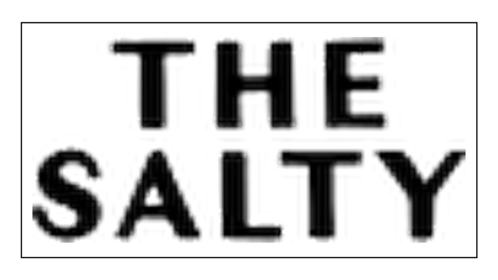 the-salty-donut-logo
