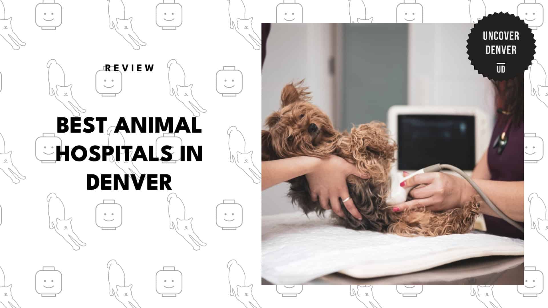 animal-hospitals-in-denver