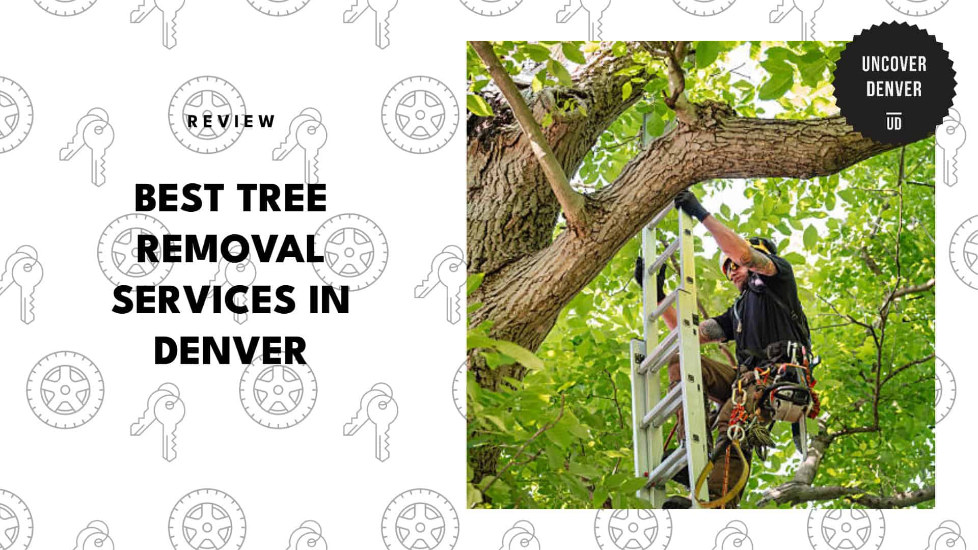 best-tree-removal-denver-banner