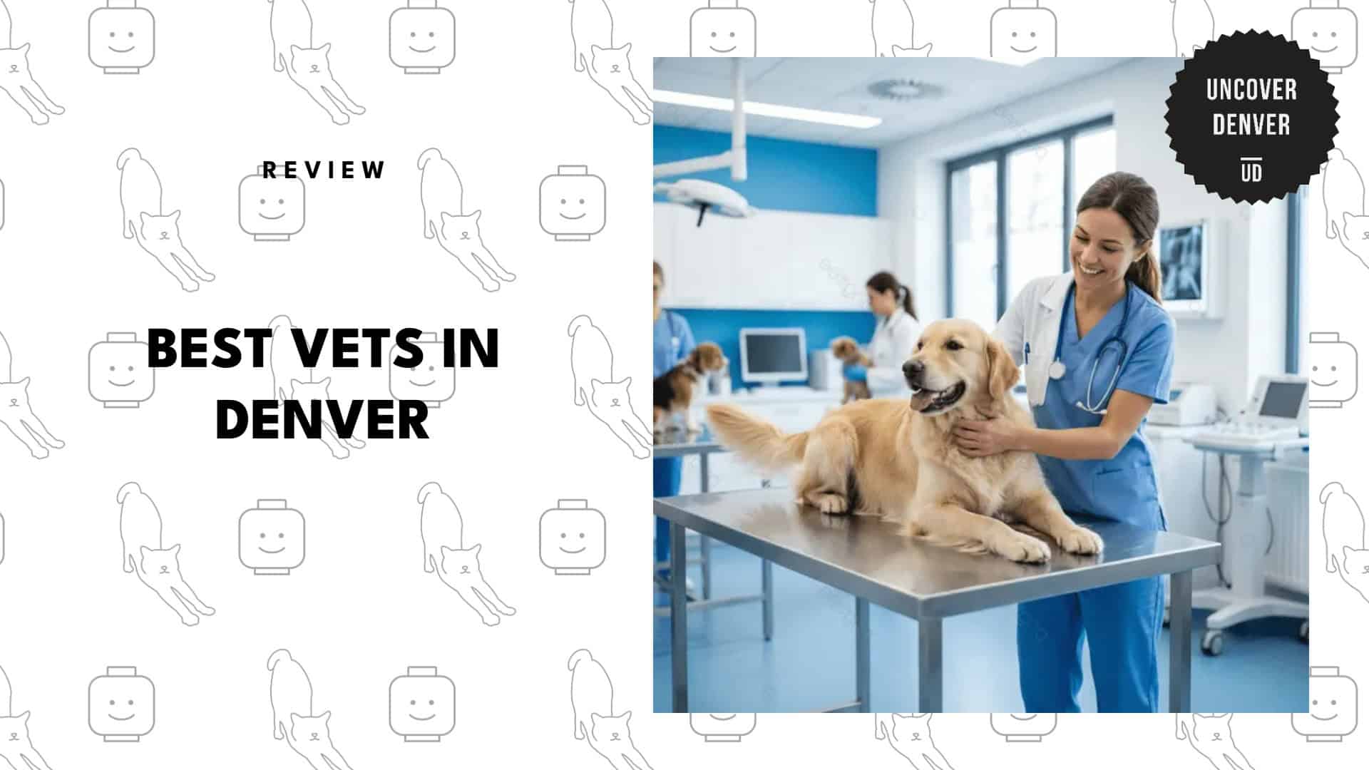 best-veterinary-clinics-denver