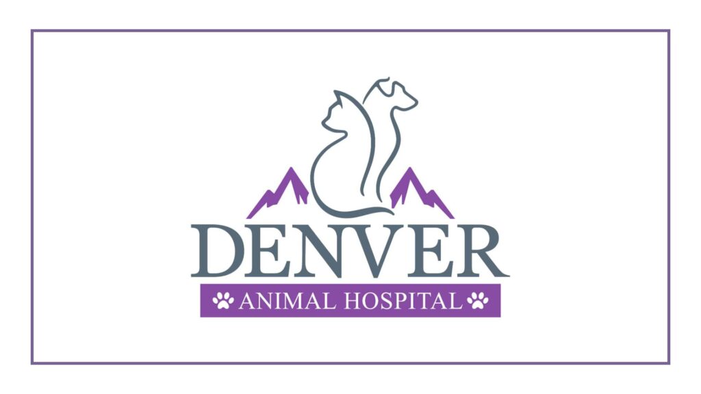 denver-animal-hospital