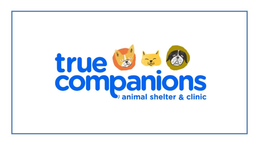 maxfund-veterinary-clinic