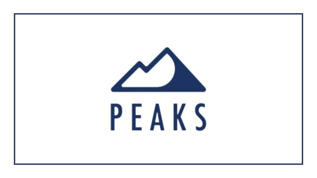 peaks-digital-marketing-denver-seo