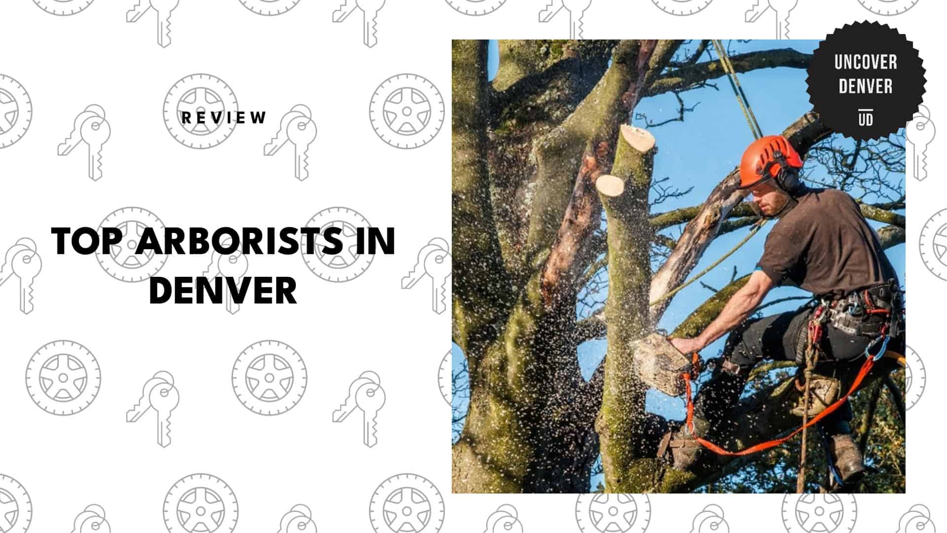 top-arborists-denver-banner