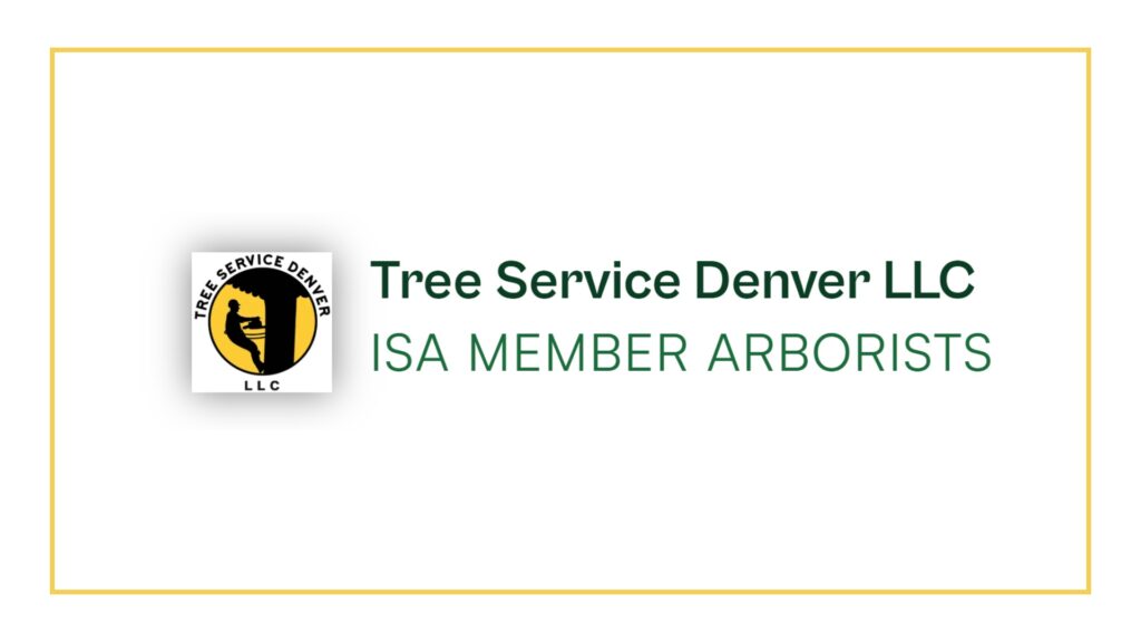 tree-service-denver-llc-logo