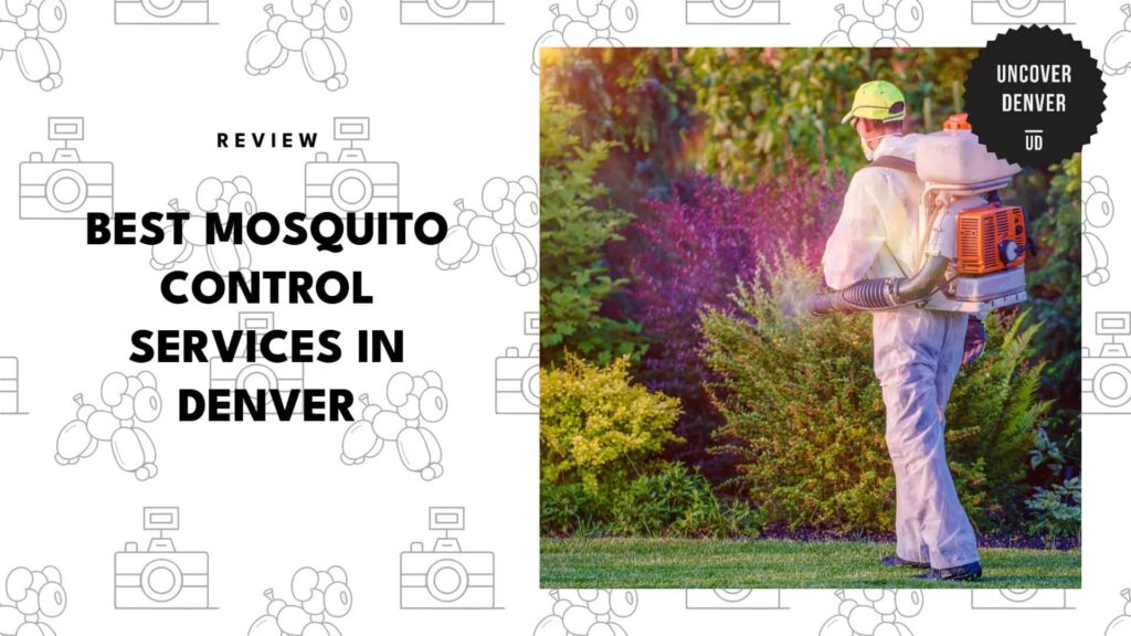 The 5 Best Mosquito Control Services in Denver That Help Keep Bugs Away