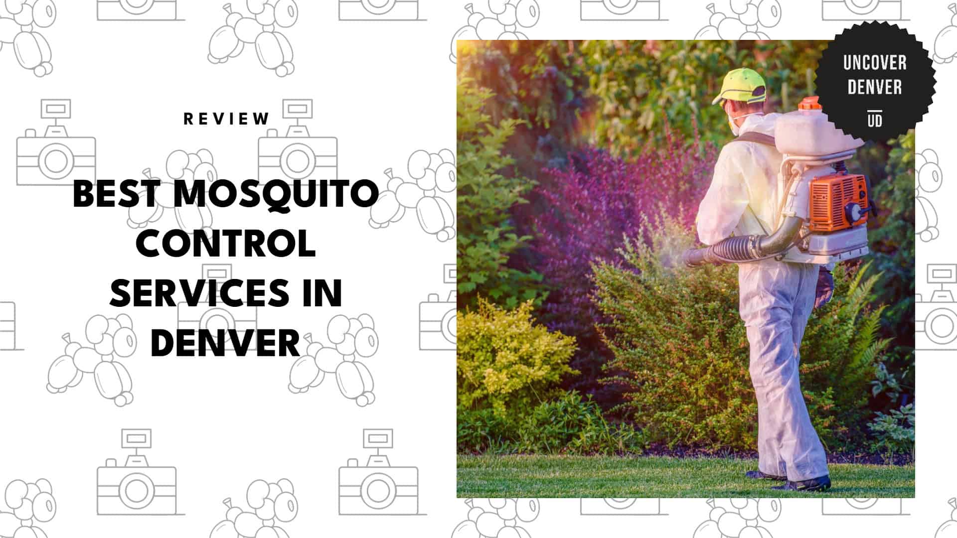 best-mosquito-control-denver