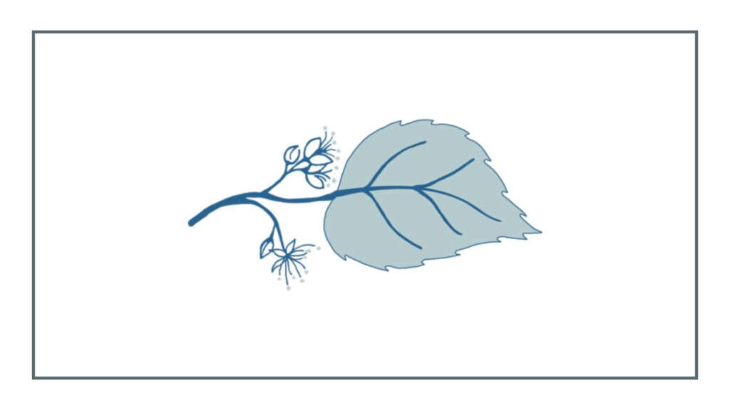 blue-linden-weddings-events-logo