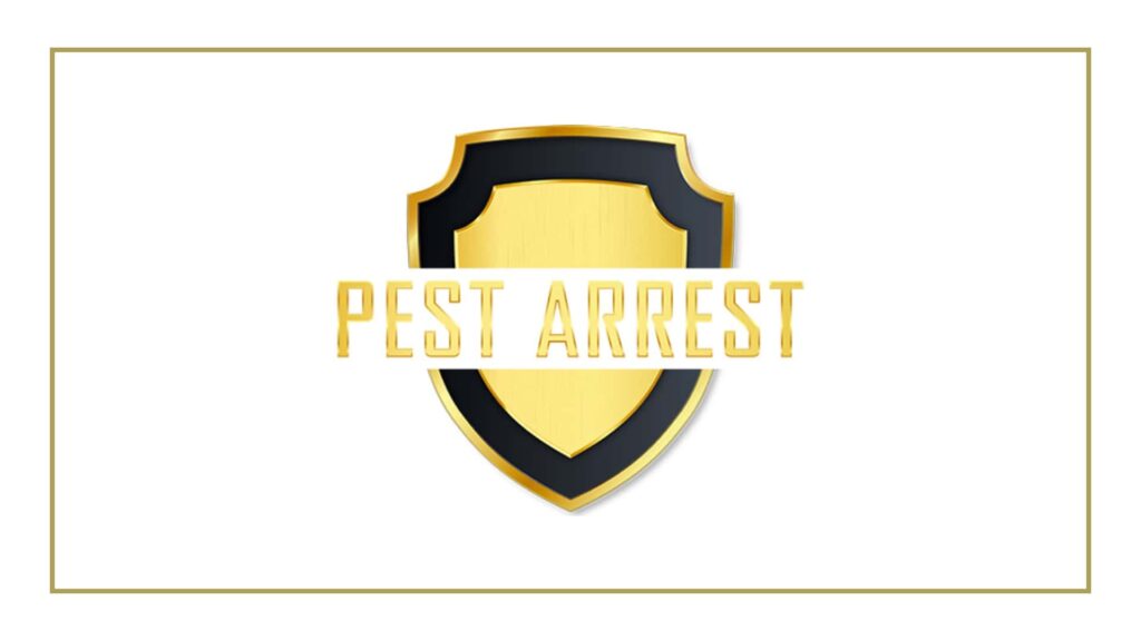 pest-arrest-pest-control-denver