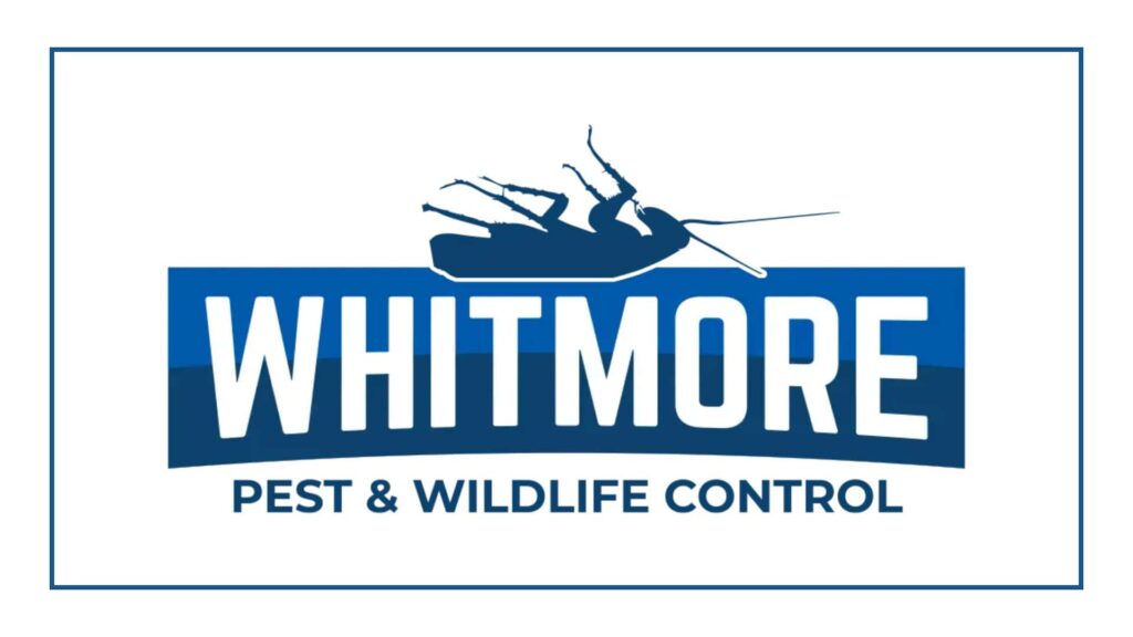 whitmore-pest-wildlife-control